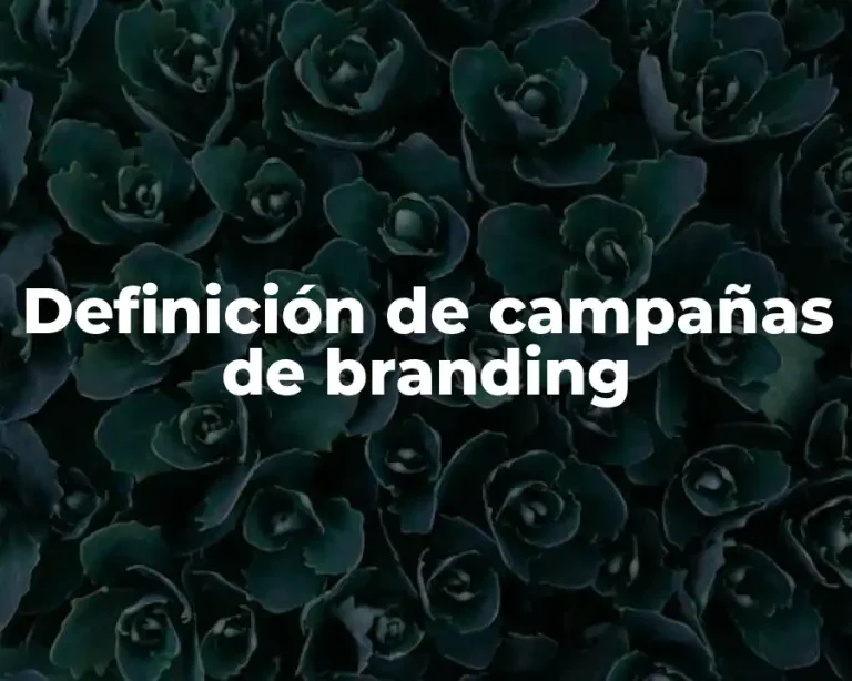 Definición de campañas de branding