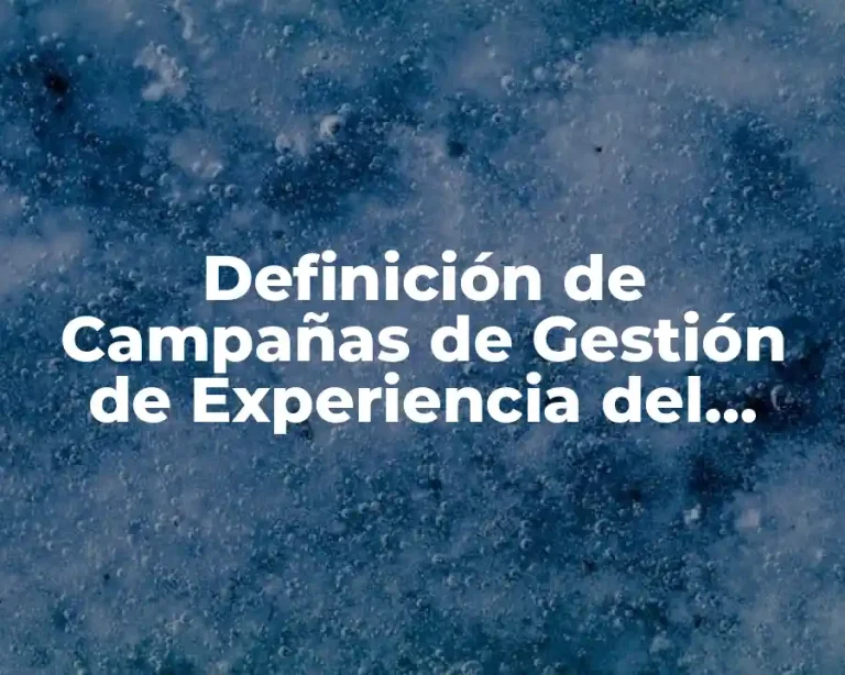 Definición de Campañas de Gestión de Experiencia del Cliente