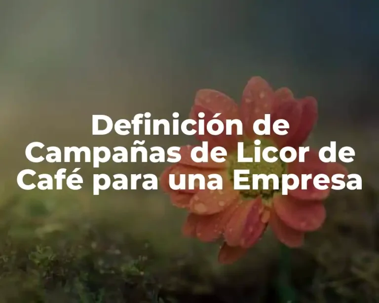 Definición de Campañas de Licor de Café para una Empresa