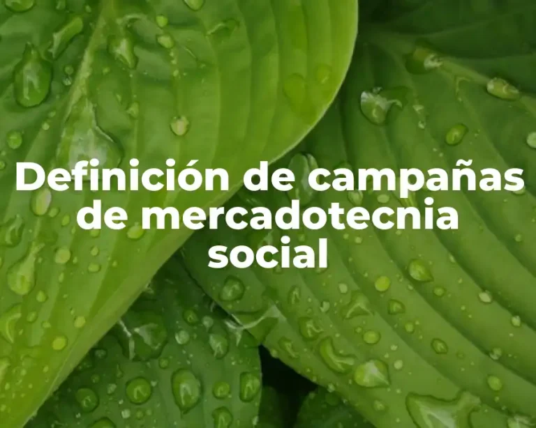 Definición de campañas de mercadotecnia social