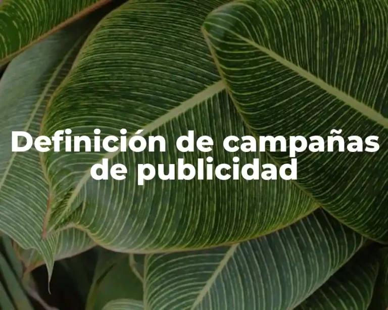 Definición de campañas de publicidad