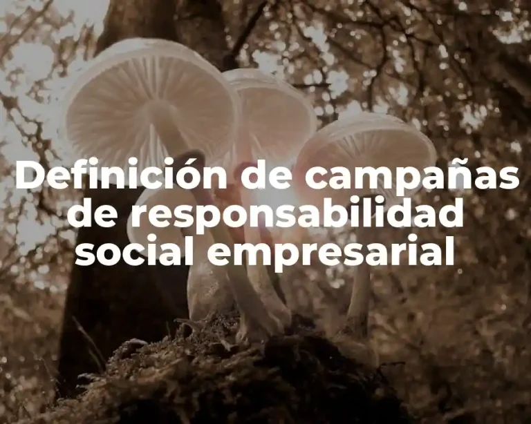 Definición de campañas de responsabilidad social empresarial