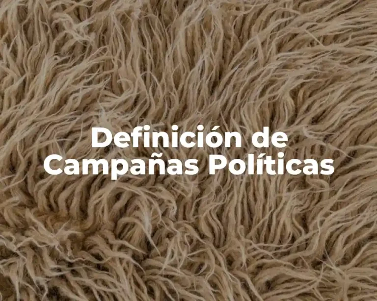 Definición de Campañas Políticas