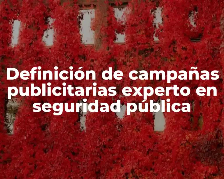 Definición de campañas publicitarias experto en seguridad pública