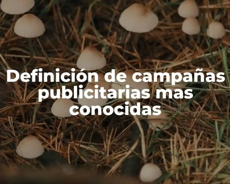 Definición de campañas publicitarias mas conocidas