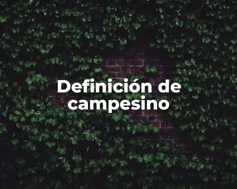 Definición de campesino