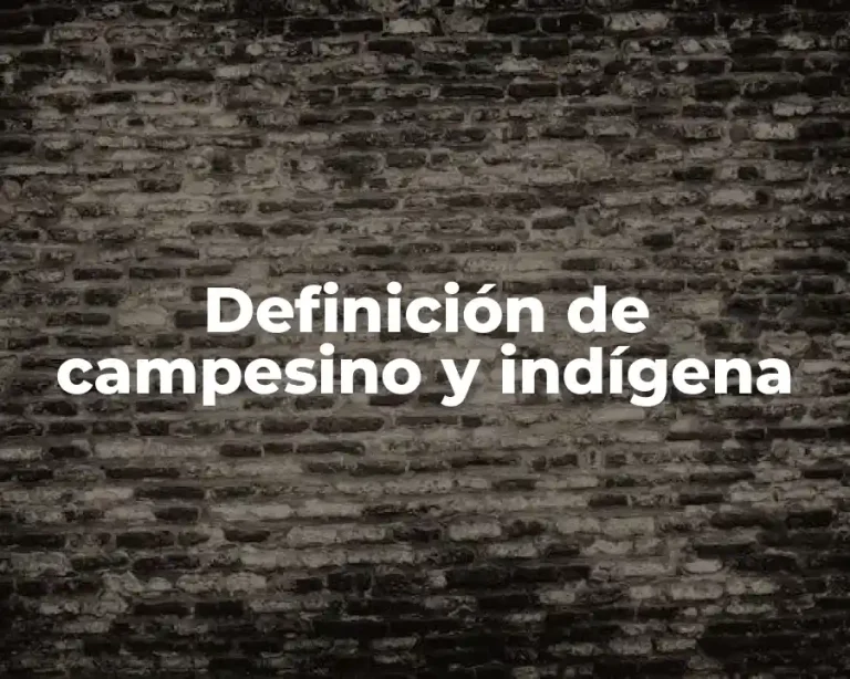 Definición de campesino y indígena