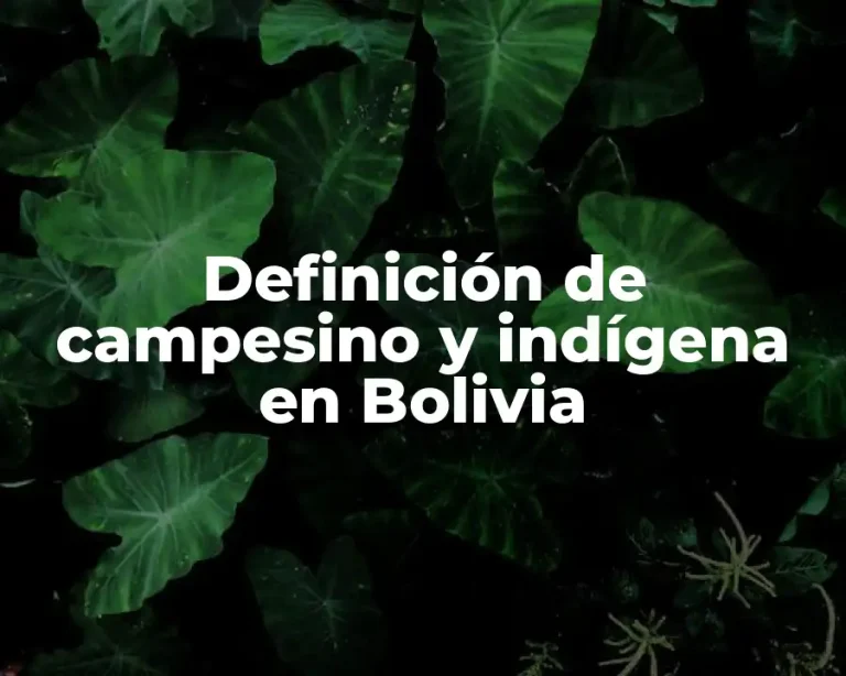 Definición de campesino y indígena en Bolivia