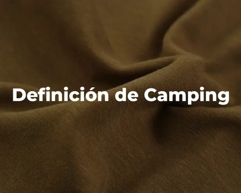 Definición de Camping