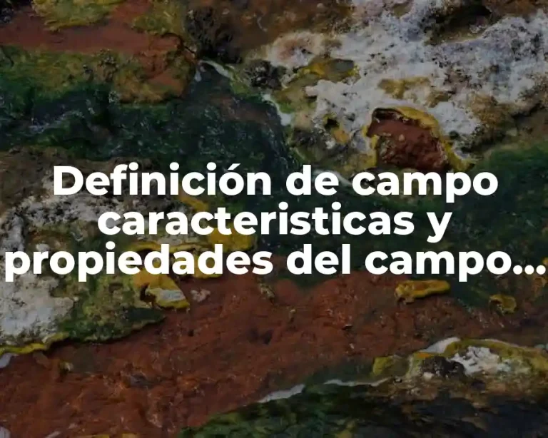 Definición de campo caracteristicas y propiedades del campo magnético