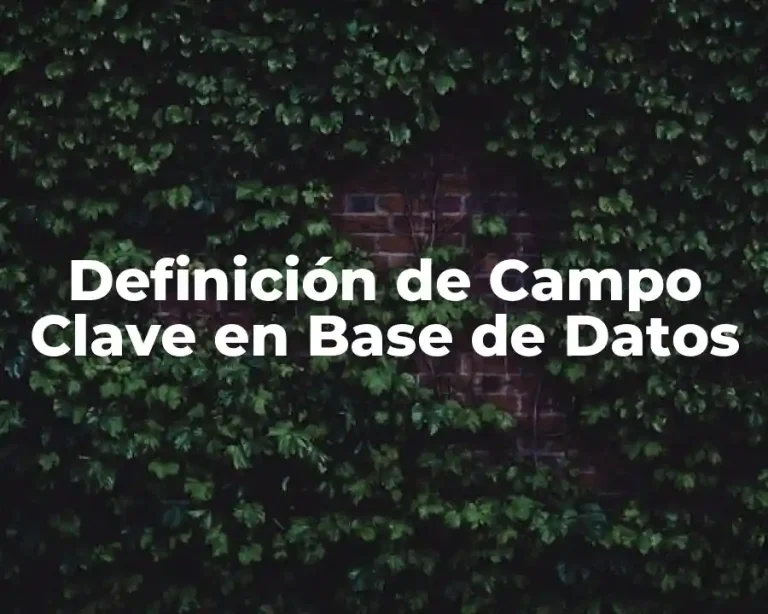 Definición de Campo Clave en Base de Datos