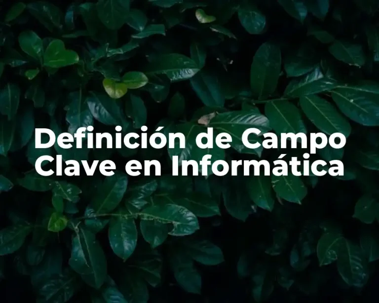 Definición de Campo Clave en Informática