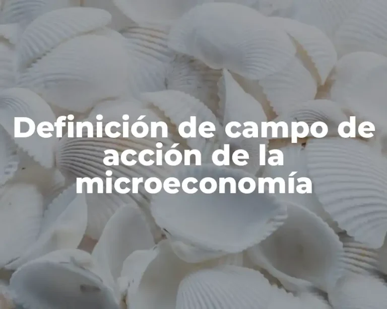 Definición de campo de acción de la microeconomía