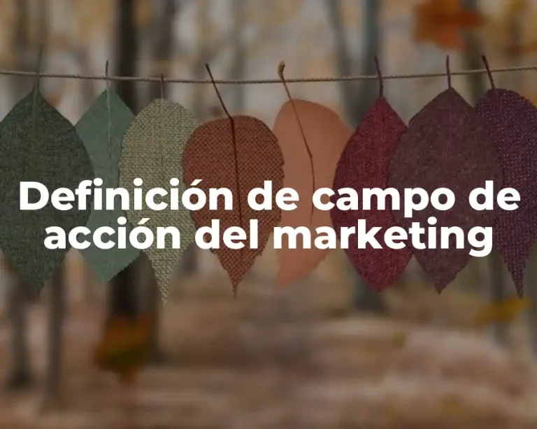 Definición de campo de acción del marketing