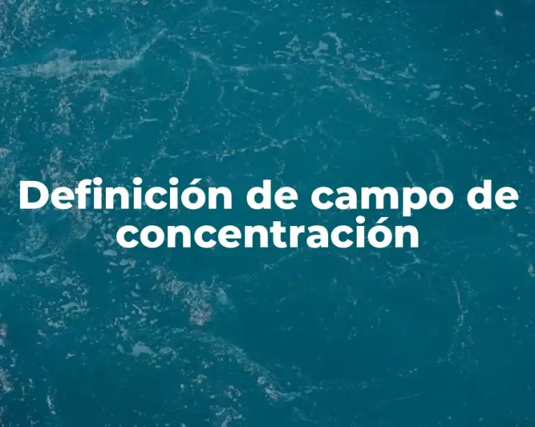Definición de campo de concentración
