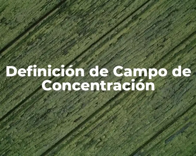 Definición de Campo de Concentración