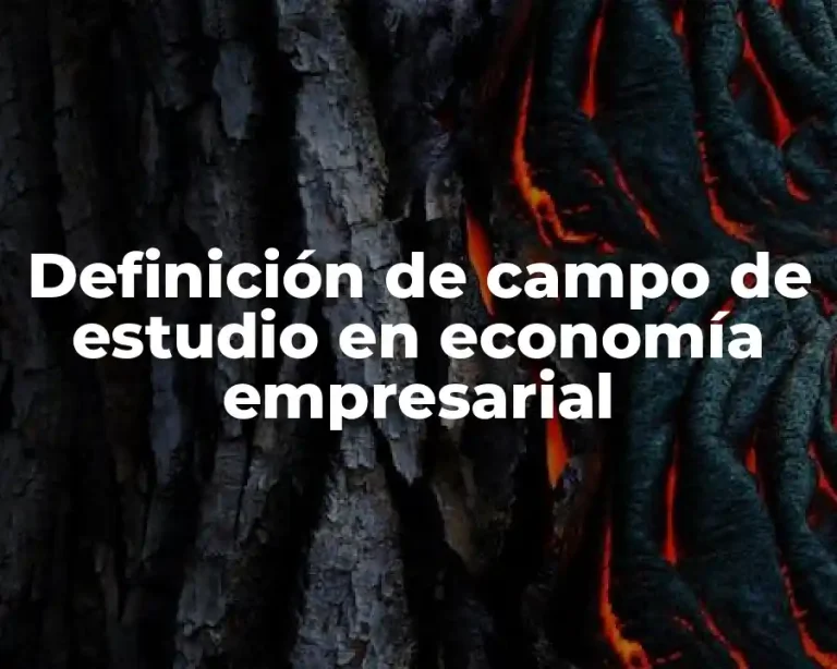 Definición de campo de estudio en economía empresarial