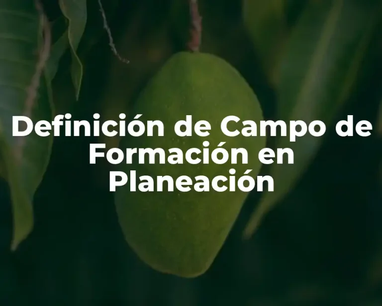 Definición de Campo de Formación en Planeación