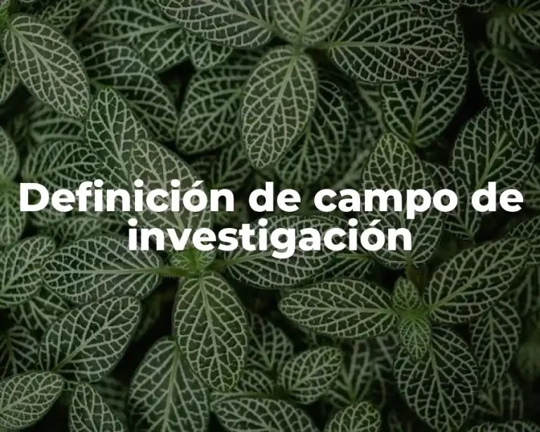 Definición de campo de investigación