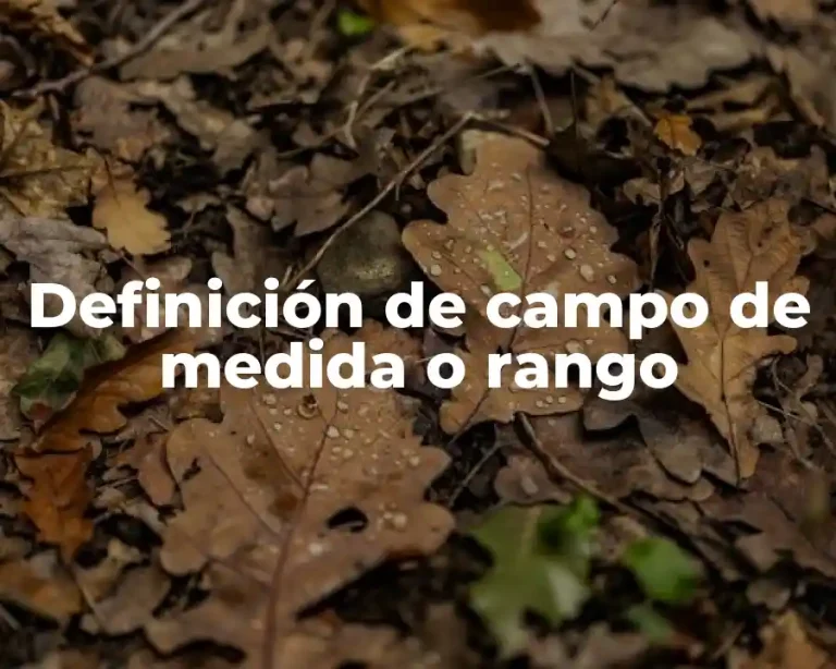 Definición de campo de medida o rango