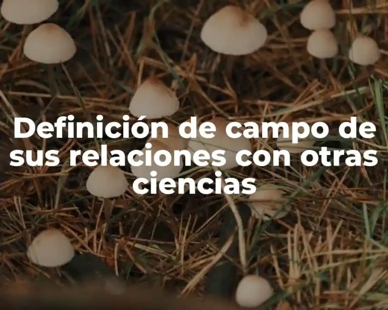 Definición de campo de sus relaciones con otras ciencias