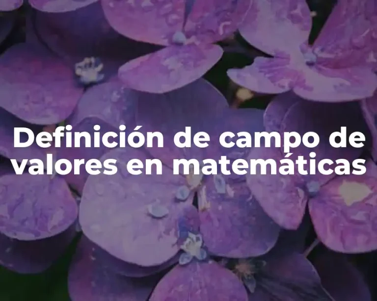 Definición de campo de valores en matemáticas