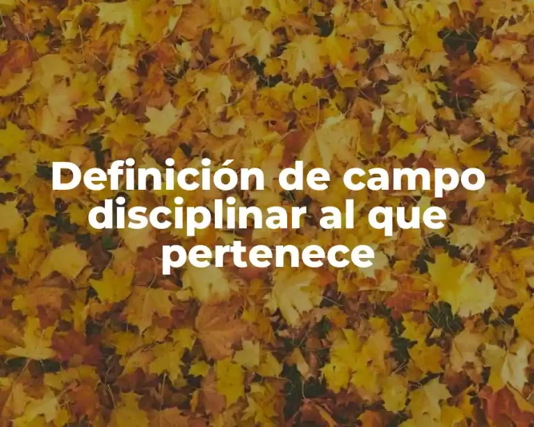 Definición de campo disciplinar al que pertenece