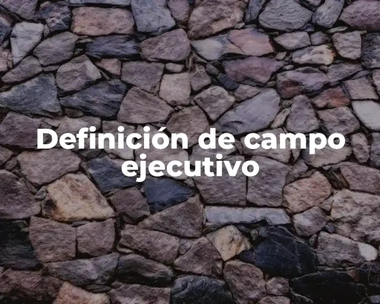 Definición de campo ejecutivo
