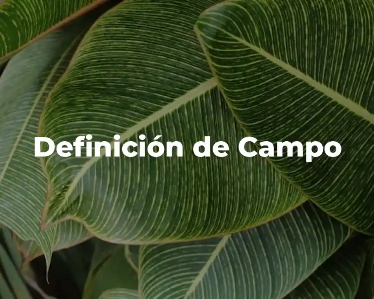 Definición de Campo