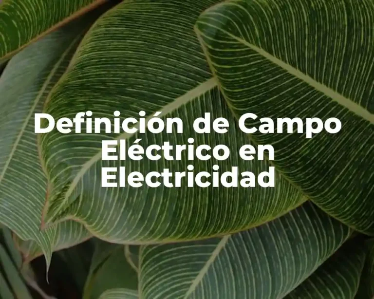 Definición de Campo Eléctrico en Electricidad