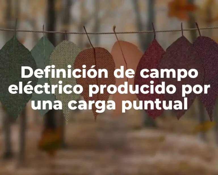 Definición de campo eléctrico producido por una carga puntual