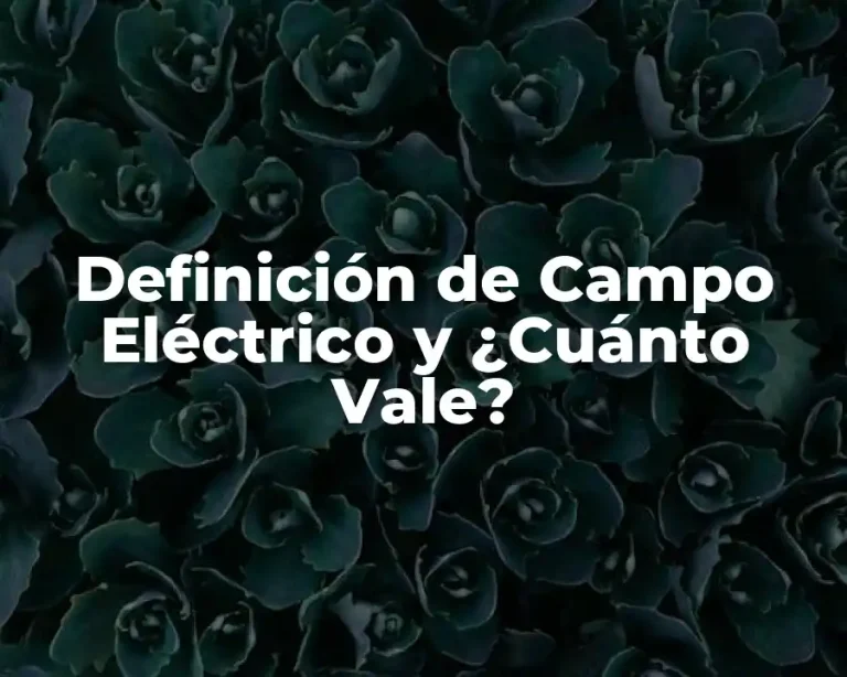 Definición de Campo Eléctrico y ¿Cuánto Vale?