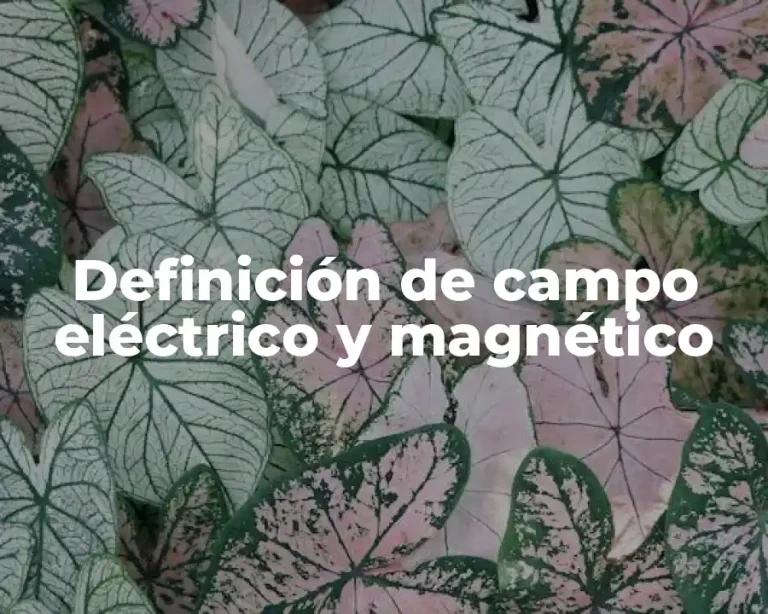 Definición de campo eléctrico y magnético
