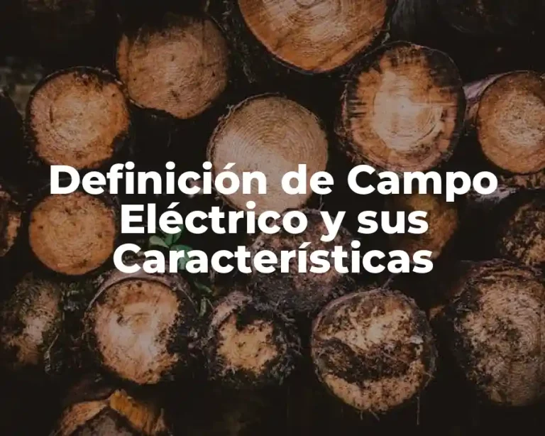 Definición de Campo Eléctrico y sus Características