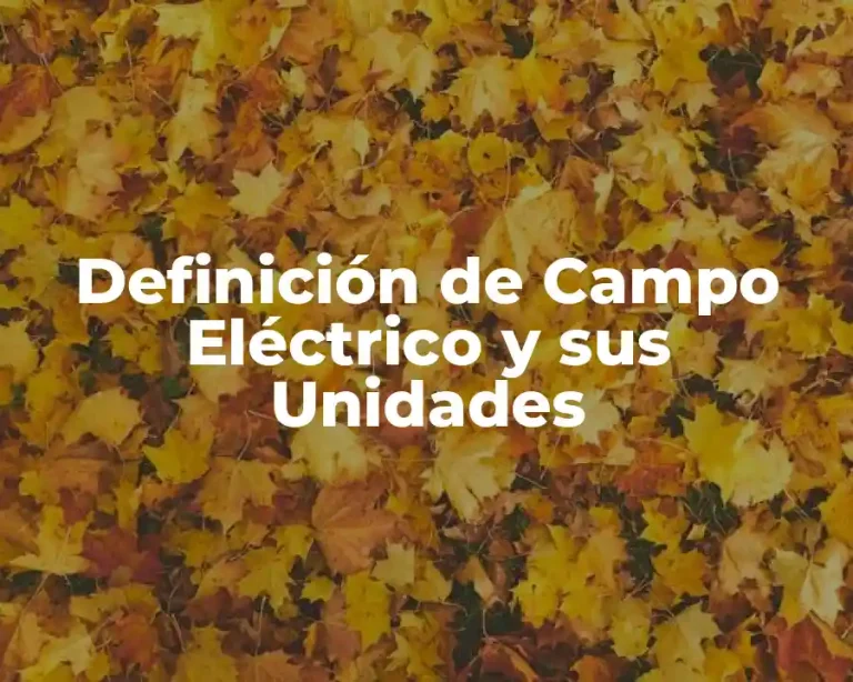 Definición de Campo Eléctrico y sus Unidades