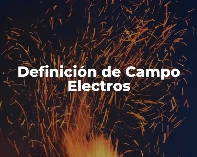 Definición de Campo Electros