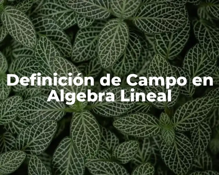 Definición de Campo en Algebra Lineal