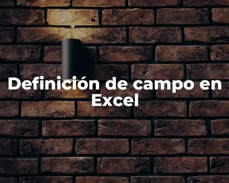 Definición de campo en Excel