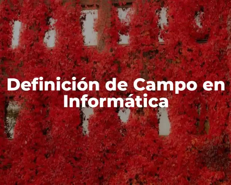 Definición de Campo en Informática