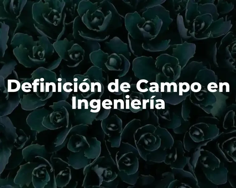 Definición de Campo en Ingeniería