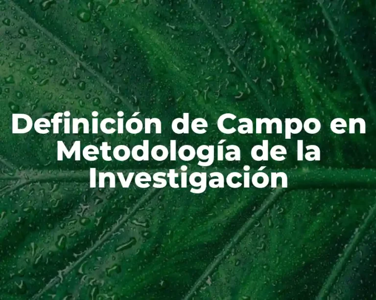 Definición de Campo en Metodología de la Investigación