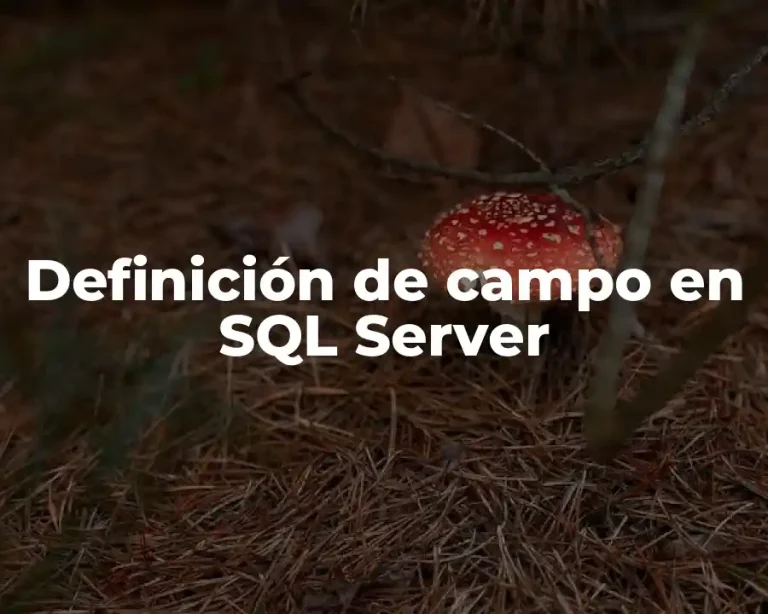 Definición de campo en SQL Server