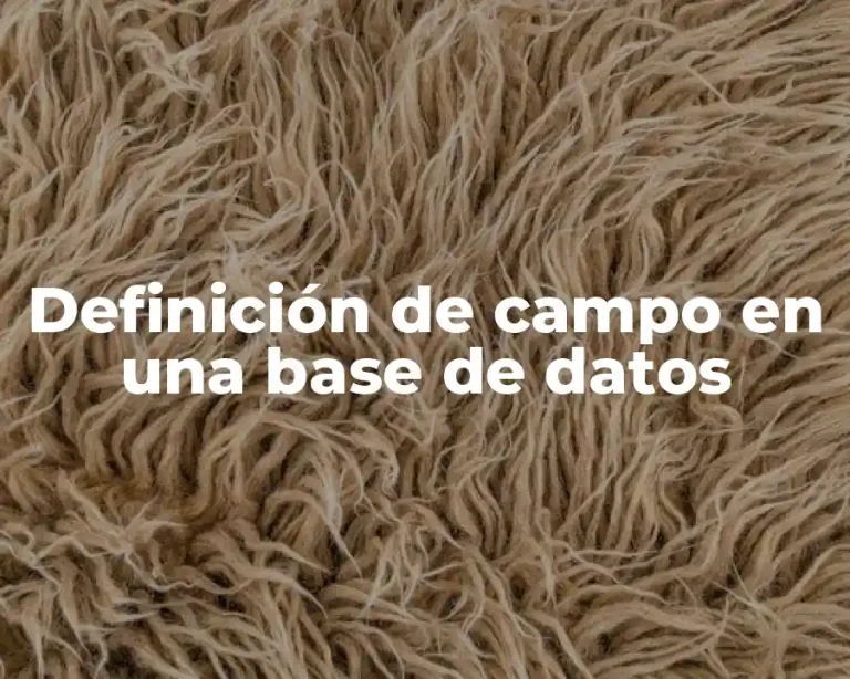 Definición de campo en una base de datos