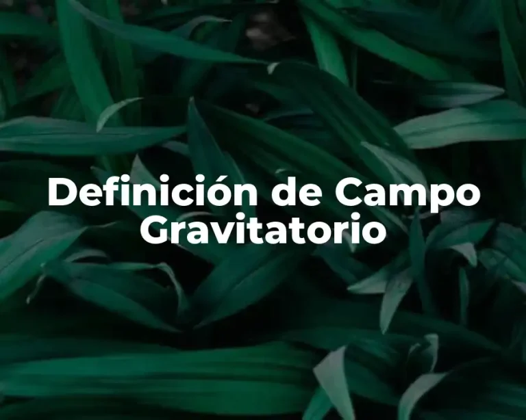 Definición de Campo Gravitatorio