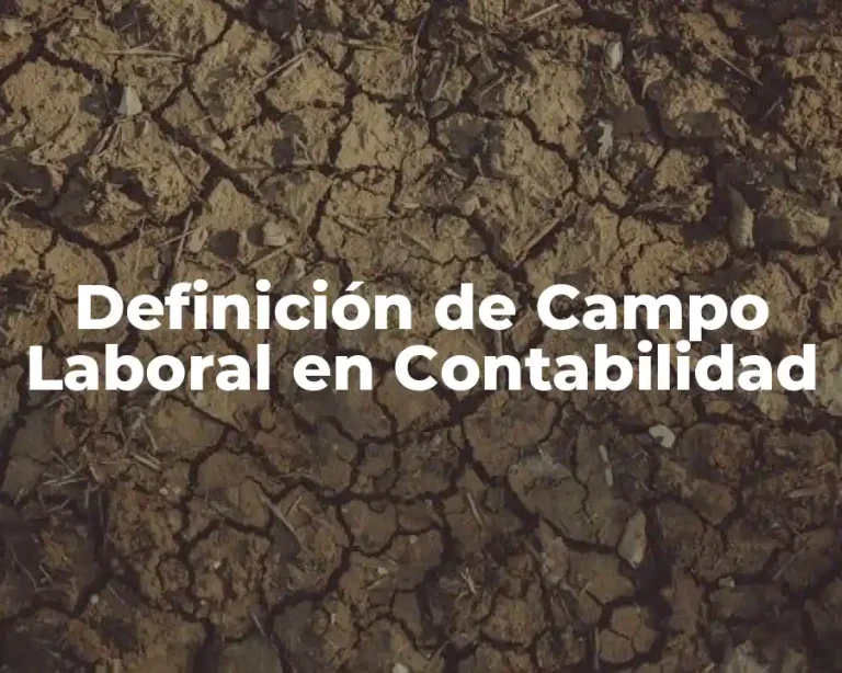 Definición de Campo Laboral en Contabilidad