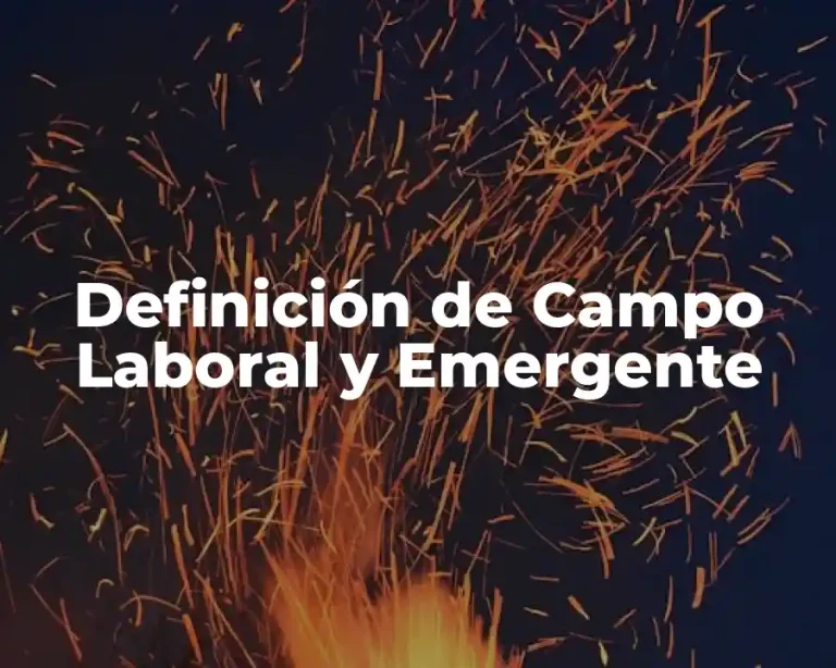 Definición de Campo Laboral y Emergente