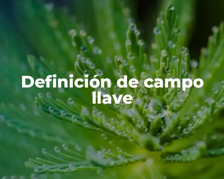 Definición de campo llave