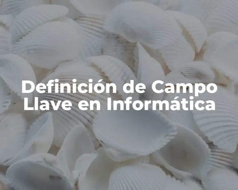 Definición de Campo Llave en Informática