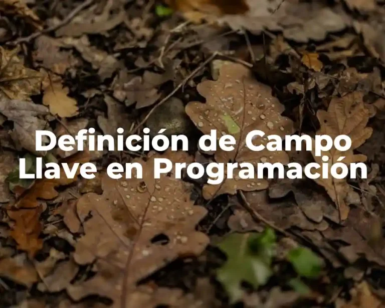 Definición de Campo Llave en Programación