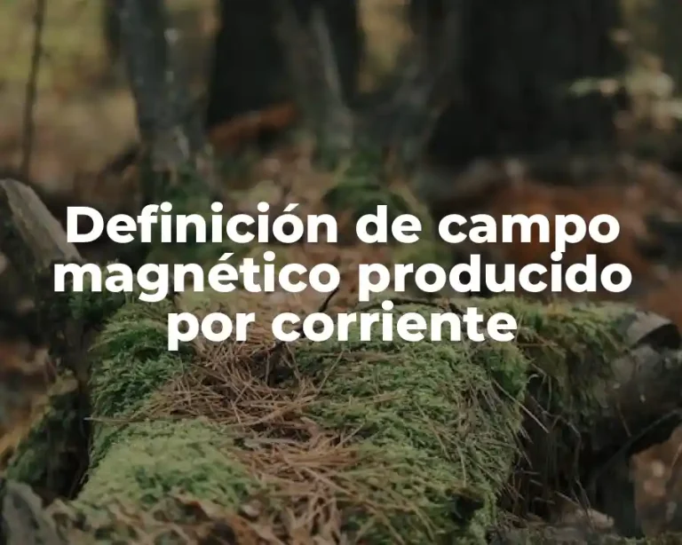 Definición de campo magnético producido por corriente